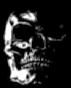 skull.jpg